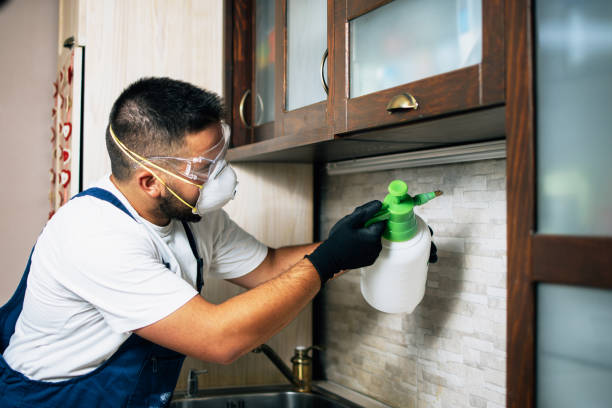 Best Local Pest Control Services  in South Pittsburg, TN