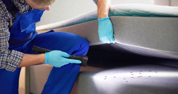 Best Rat Extermination Near Me  in South Pittsburg, TN