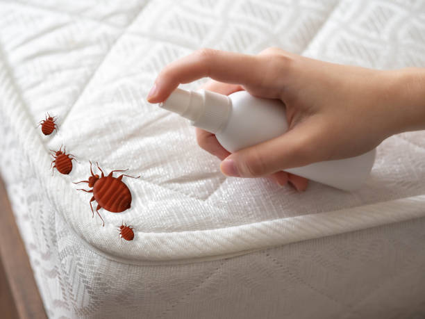 Best Best Pest Control Companies  in South Pittsburg, TN