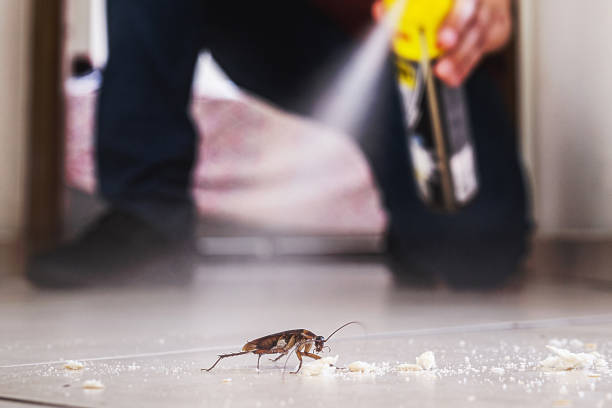 Best Insect Control  in South Pittsburg, TN