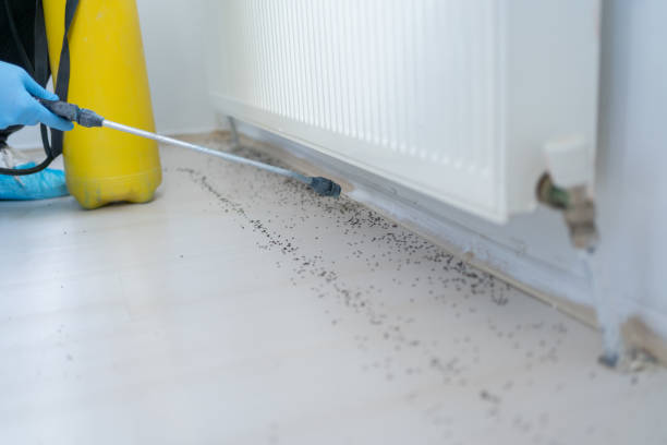  South Pittsburg, TN Pest Control Pros