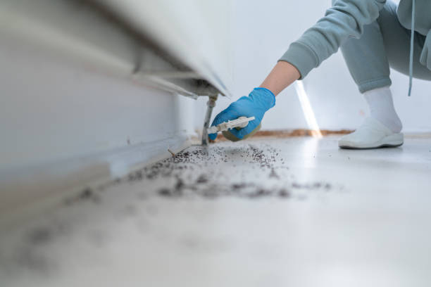 Trusted South Pittsburg, TN Pest Control Experts