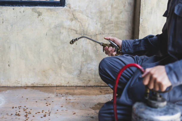 Best Emergency Pest Control  in South Pittsburg, TN